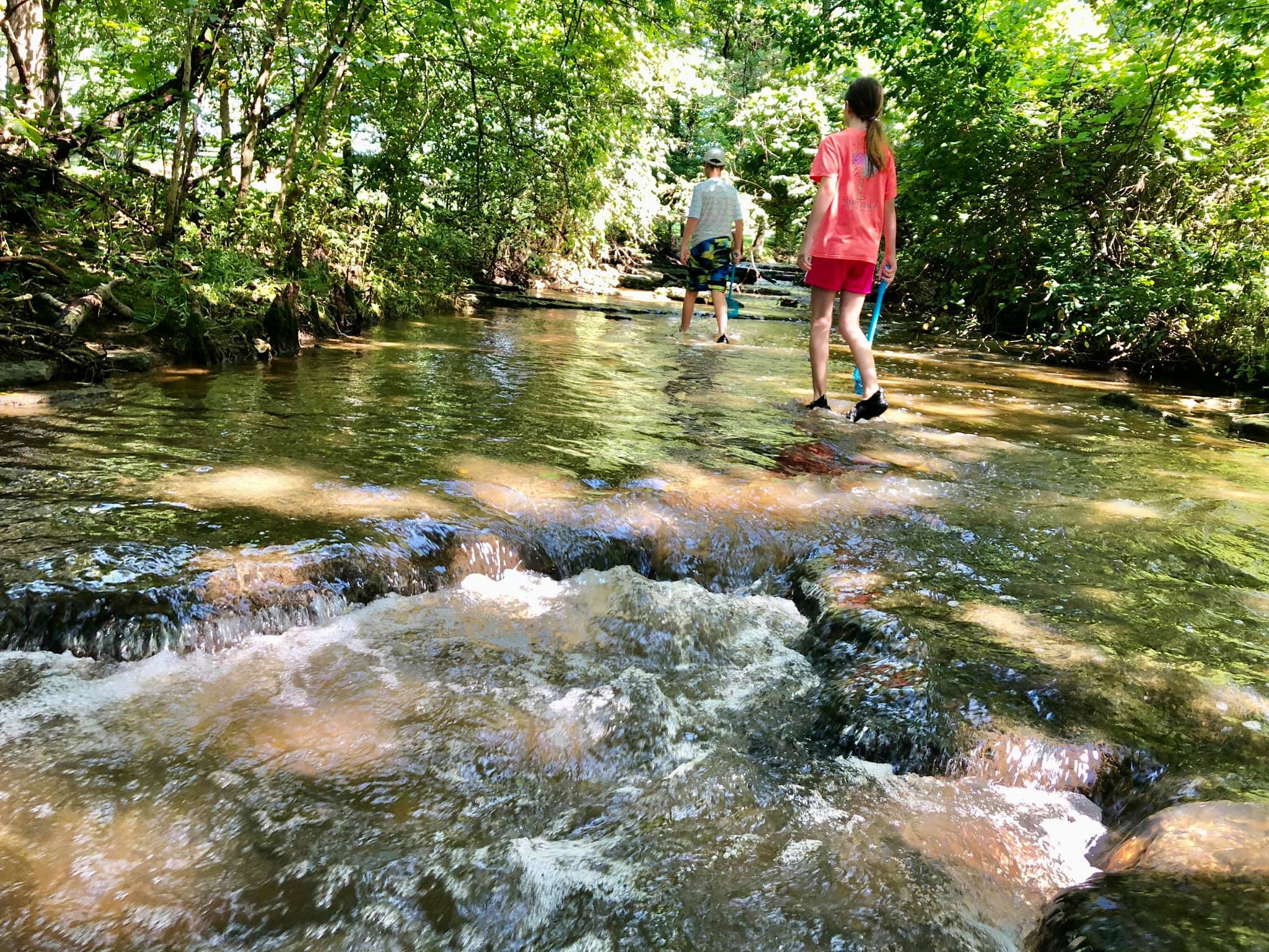 Hiking at Harrods Creek Park Oldham Family Fun